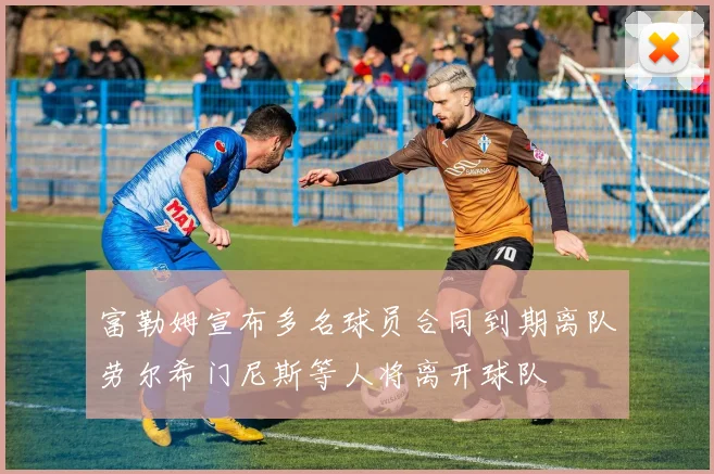 富勒姆宣布多名球员合同到期离队劳尔希门尼斯等人将离开球队