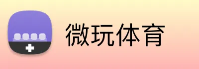 微玩体育 logo